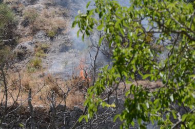 Yaz yangın, Güney İtalya.
