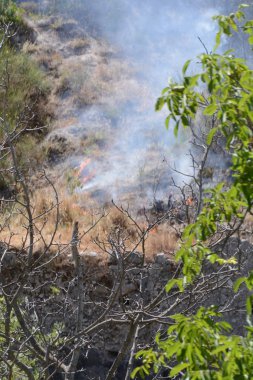Yaz yangın, Güney İtalya.