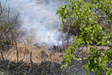 Yaz yangın, Güney İtalya.