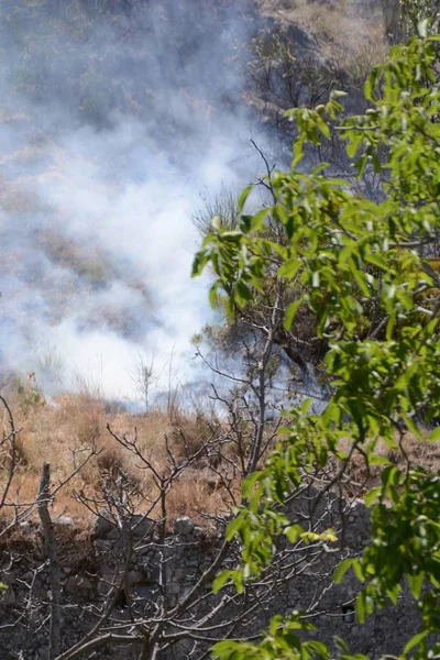 Yaz yangın, Güney İtalya.