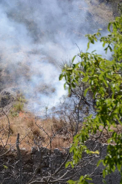 Yaz yangın, Güney İtalya.