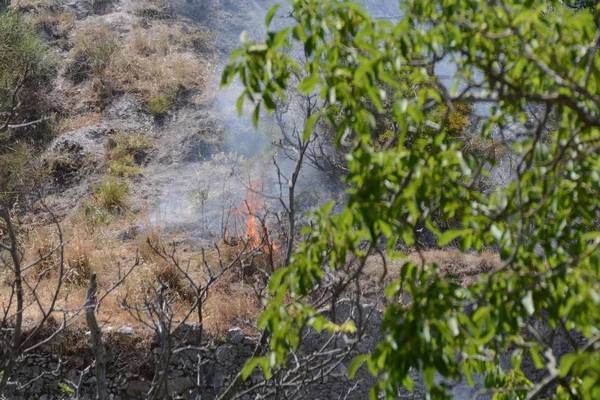 Yaz yangın, Güney İtalya.