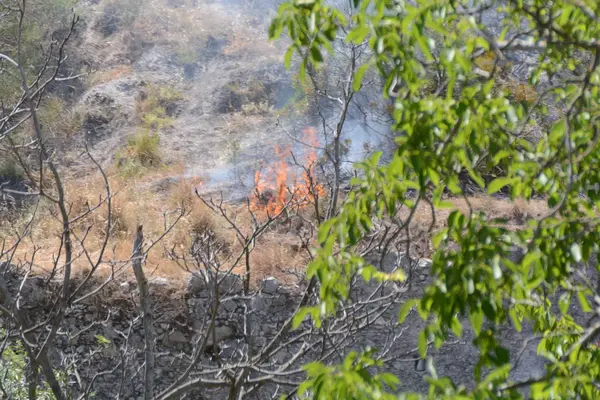 Yaz yangın, Güney İtalya.