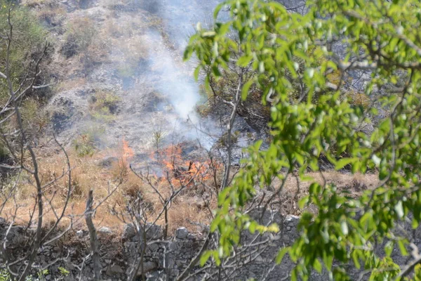 Yaz yangın, Güney İtalya.
