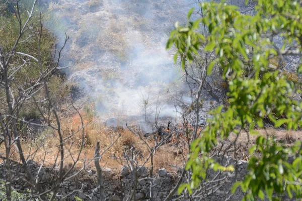Yaz yangın, Güney İtalya.