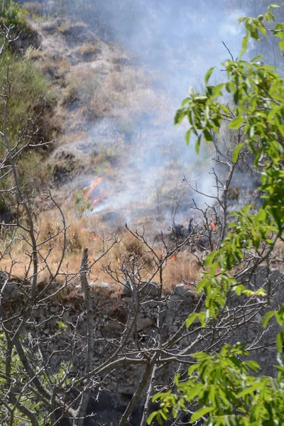 Yaz yangın, Güney İtalya.