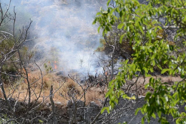Yaz yangın, Güney İtalya.
