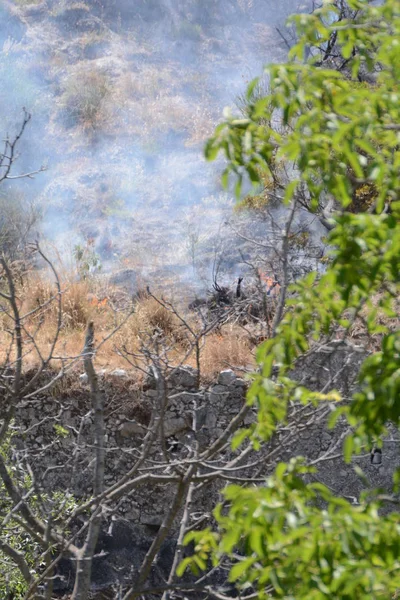 Yaz yangın, Güney İtalya.
