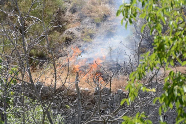 Yaz yangın, Güney İtalya.