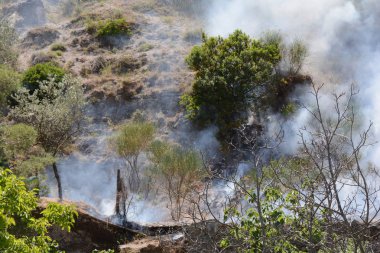 Yaz yangın, Güney İtalya.