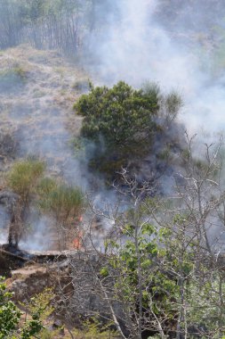 Yaz yangın, Güney İtalya.