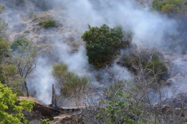 Yaz yangın, Güney İtalya.