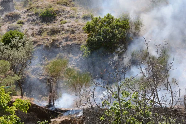 Yaz yangın, Güney İtalya.