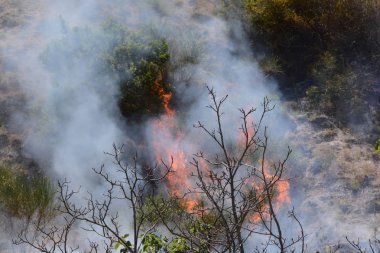 Yaz yangın, Güney İtalya.