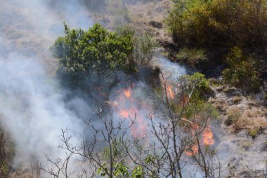 Yaz yangın, Güney İtalya.