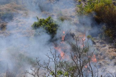 Yaz yangın, Güney İtalya.
