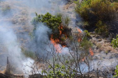Yaz yangın, Güney İtalya.