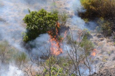 Yaz yangın, Güney İtalya.