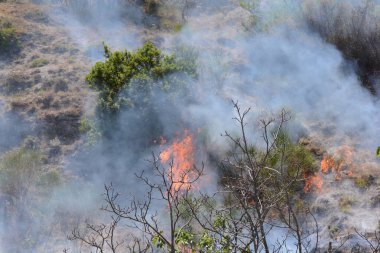Yaz yangın, Güney İtalya.