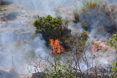 Yaz yangın, Güney İtalya.