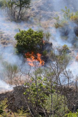 Yaz yangın, Güney İtalya.