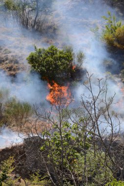 Yaz yangın, Güney İtalya.