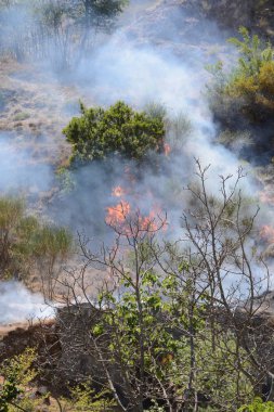 Yaz yangın, Güney İtalya.