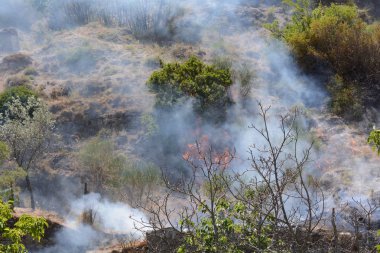 Yaz yangın, Güney İtalya.