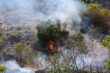 Yaz yangın, Güney İtalya.