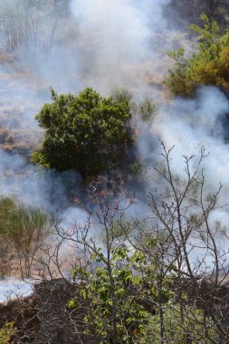Yaz yangın, Güney İtalya.