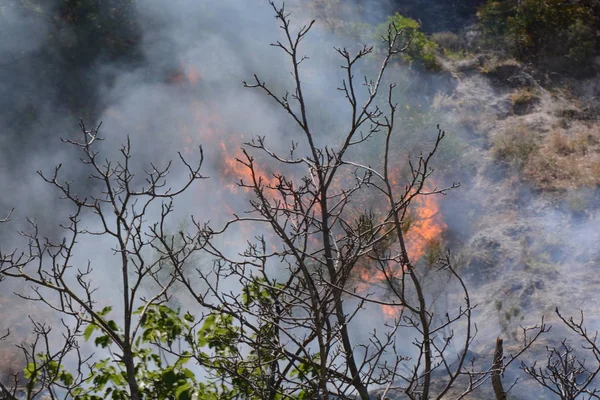 Yaz yangın, Güney İtalya.