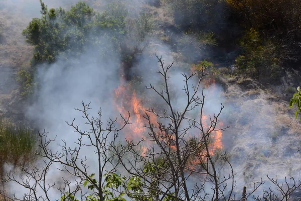 Yaz yangın, Güney İtalya.