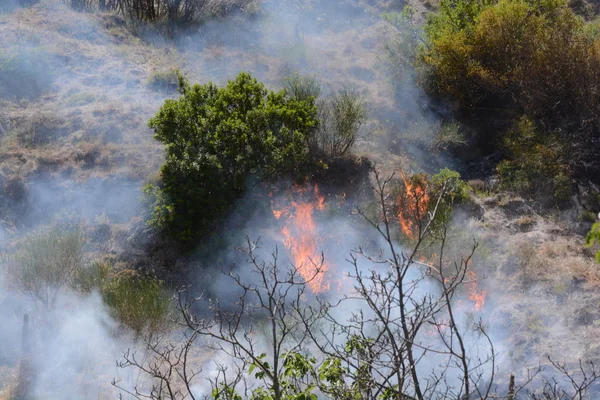 Yaz yangın, Güney İtalya.