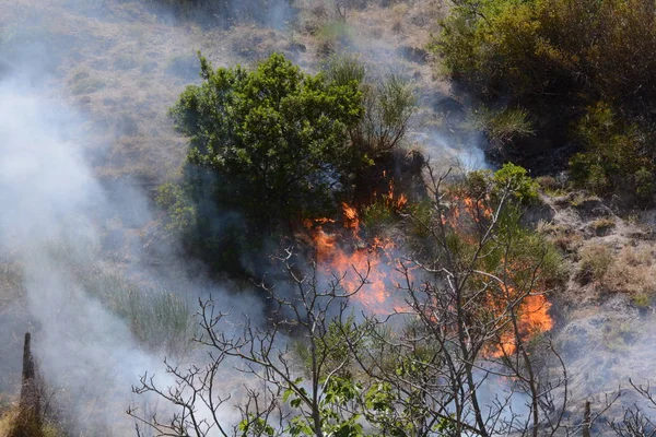 Yaz yangın, Güney İtalya.