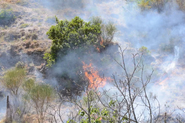 Yaz yangın, Güney İtalya.