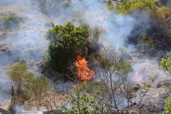 Yaz yangın, Güney İtalya.