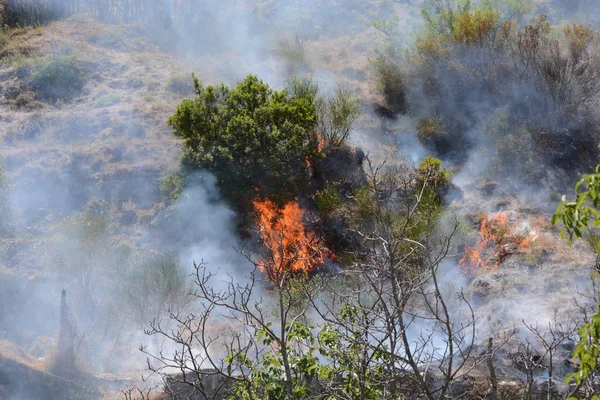 Yaz yangın, Güney İtalya.