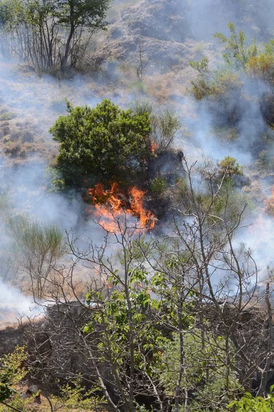 Yaz yangın, Güney İtalya.