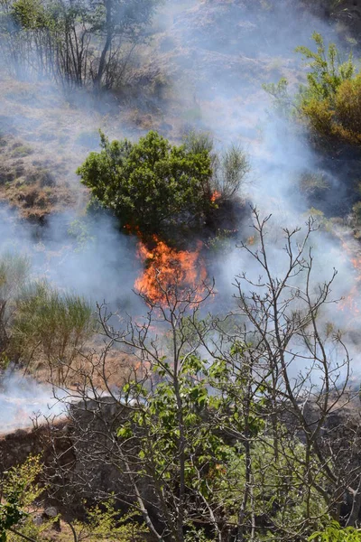 Yaz yangın, Güney İtalya.