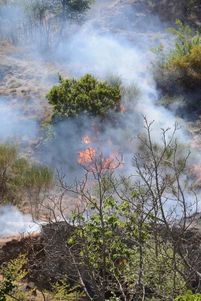 Yaz yangın, Güney İtalya.