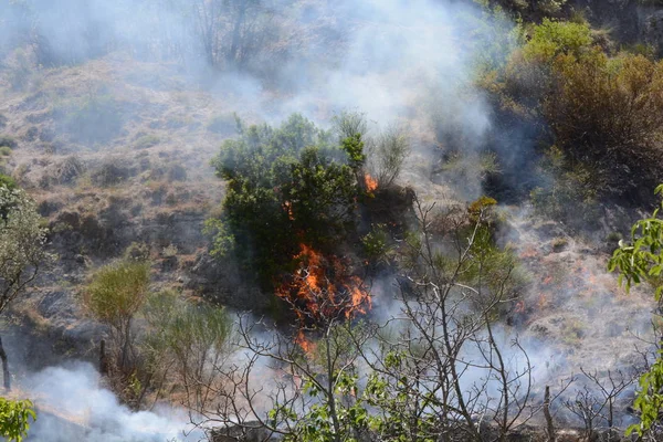 Yaz yangın, Güney İtalya.
