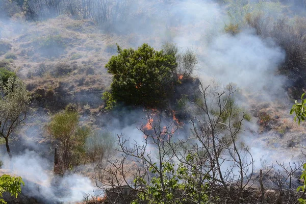 Yaz yangın, Güney İtalya.