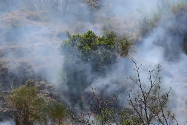 Yaz yangın, Güney İtalya.