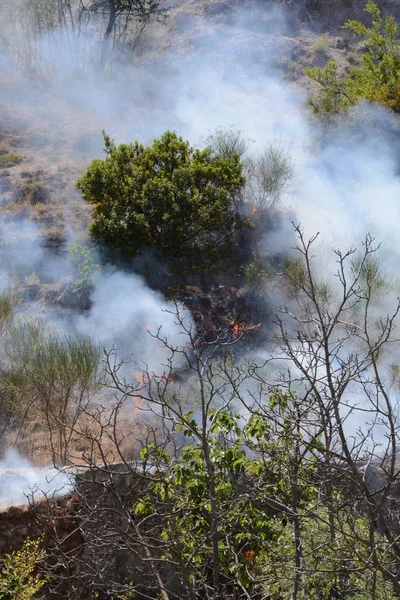 Yaz yangın, Güney İtalya.