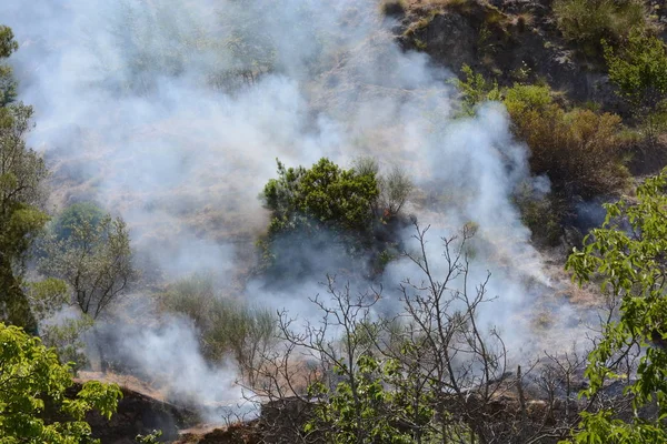 Fuego de verano, sur de Italia . — Foto de Stock