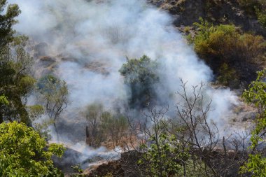 Yaz yangın, Güney İtalya.