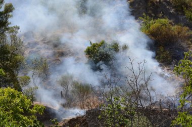 Yaz yangın, Güney İtalya.