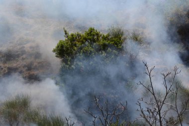 Yaz yangın, Güney İtalya.