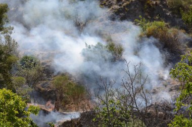 Yaz yangın, Güney İtalya.