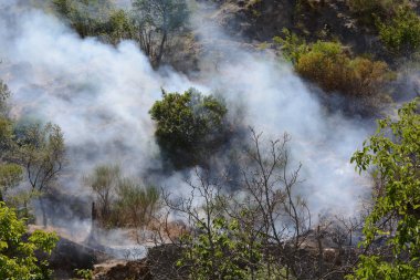 Yaz yangın, Güney İtalya.
